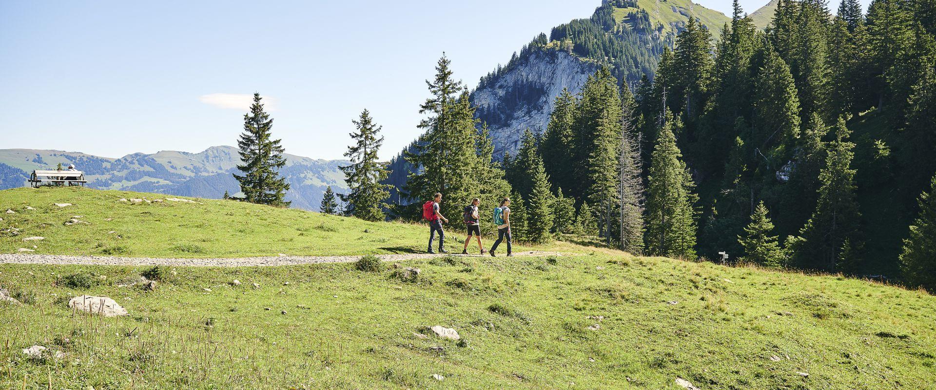 Wandern im Bregenzerwald mit Blick auf die Kanisfluh